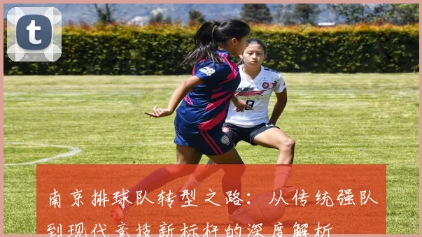 南京排球队转型之路：从传统强队到现代竞技新标杆的深度解析