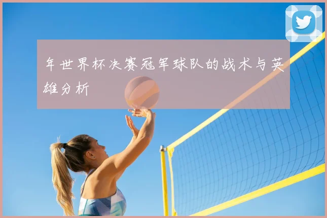 年世界杯决赛冠军球队的战术与英雄分析
