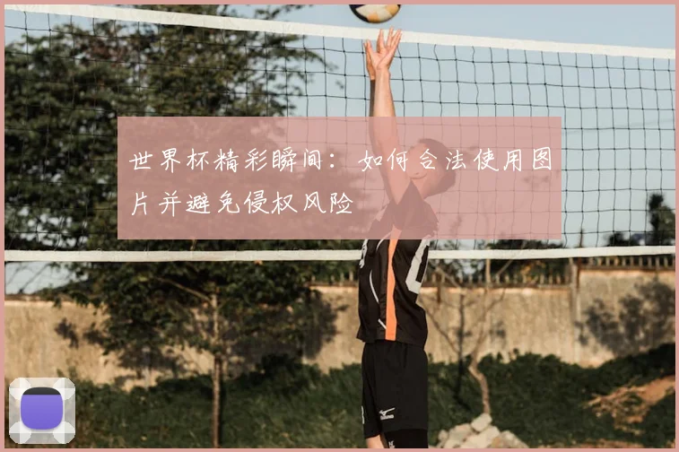 世界杯精彩瞬间：如何合法使用图片并避免侵权风险