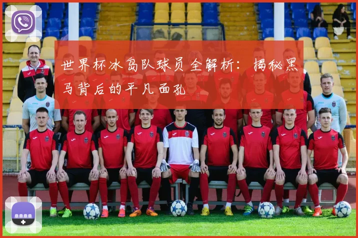世界杯冰岛队球员全解析：揭秘黑马背后的平凡面孔