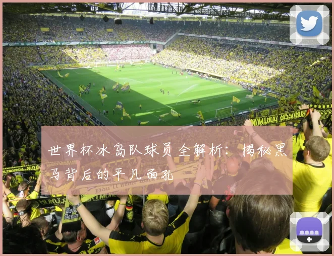 世界杯冰岛队球员全解析：揭秘黑马背后的平凡面孔