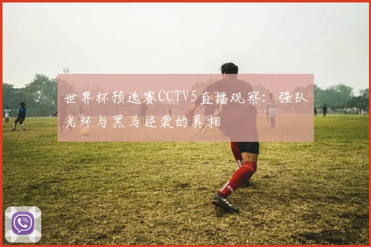 世界杯预选赛CCTV5直播观察：强队光环与黑马逆袭的真相