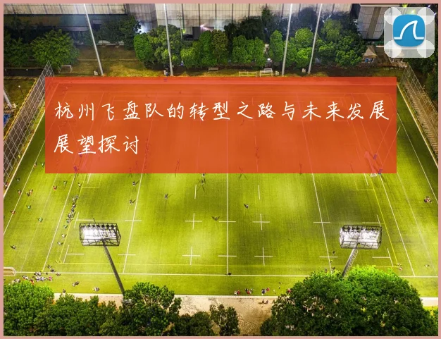 杭州飞盘队的转型之路与未来发展展望探讨