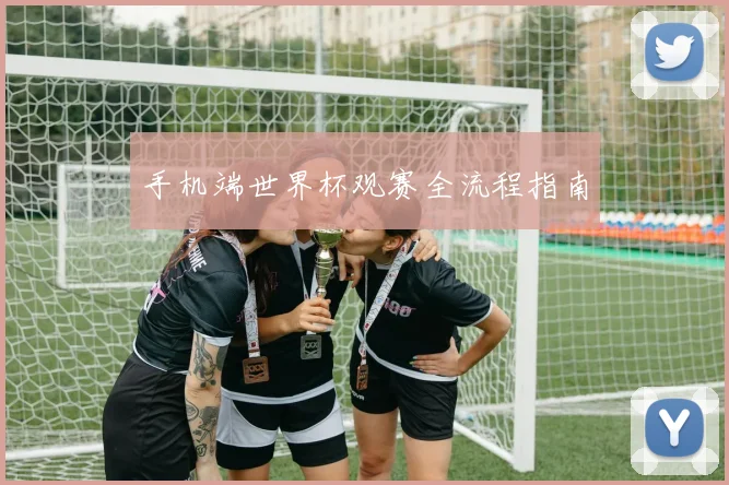 手机端世界杯观赛全流程指南