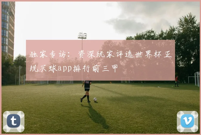 独家专访：资深玩家评选世界杯正规买球app排行前三甲